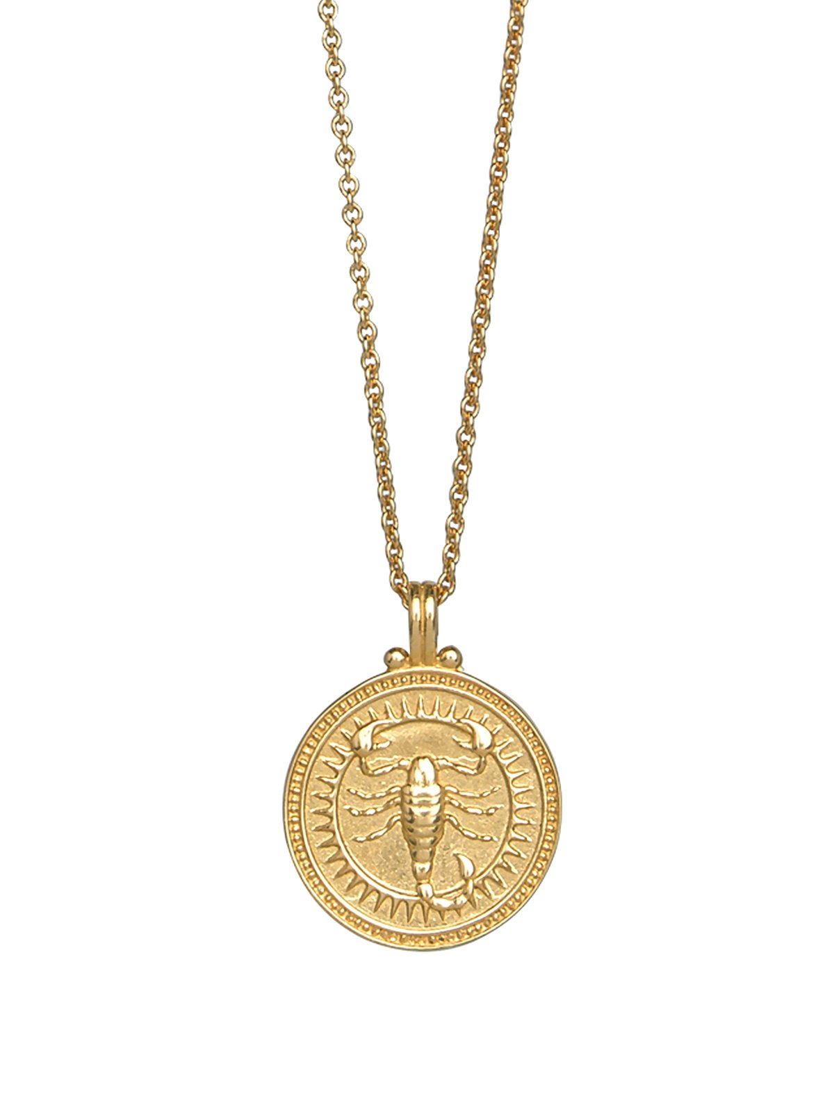 Scorpio Zodiac Horoscope Necklace. Gender Neutral. Gold Vermeil