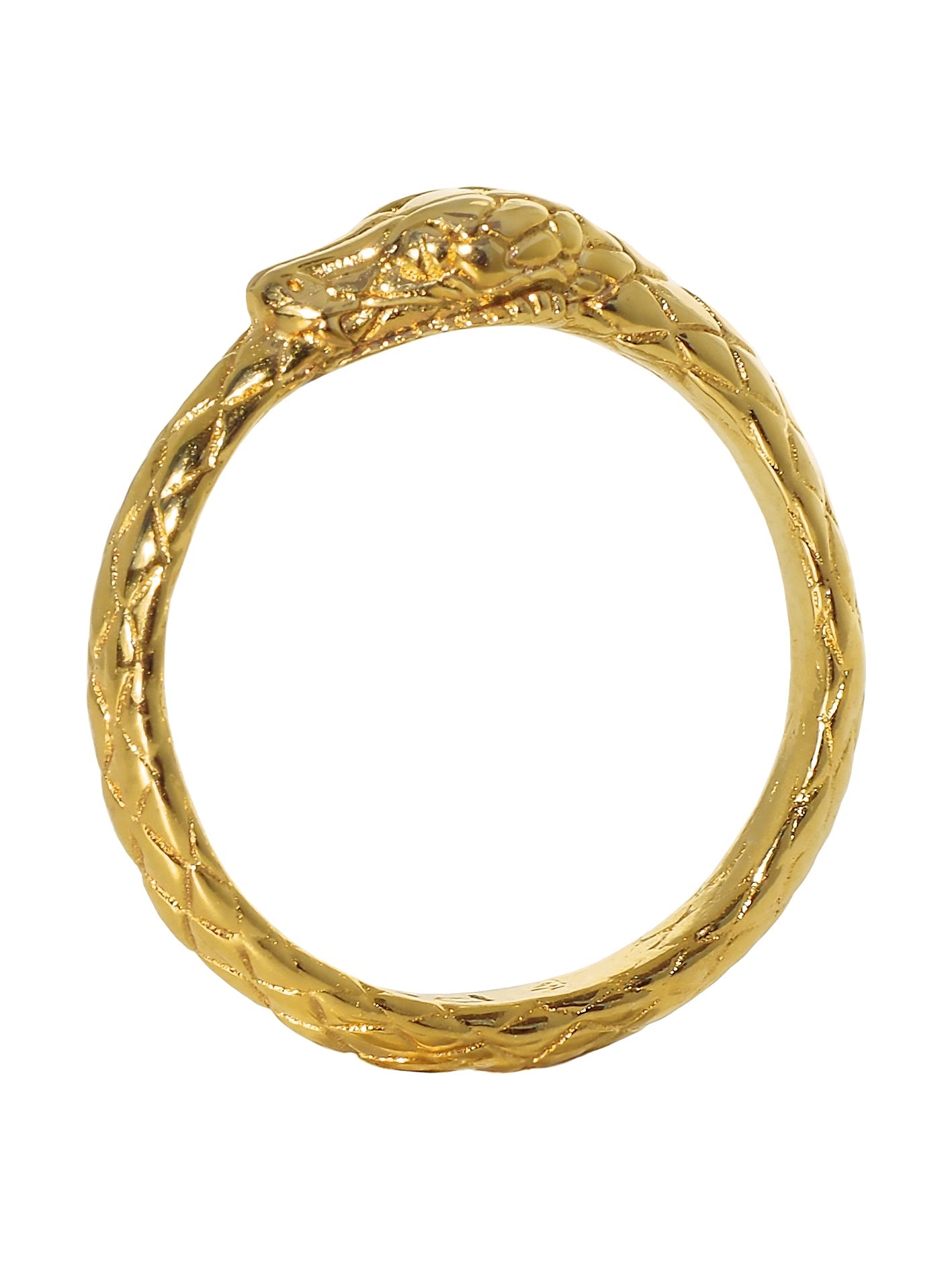 Ouroboros Ring. Gold Plated. gender neutral